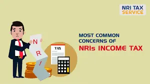NRI Tax Service